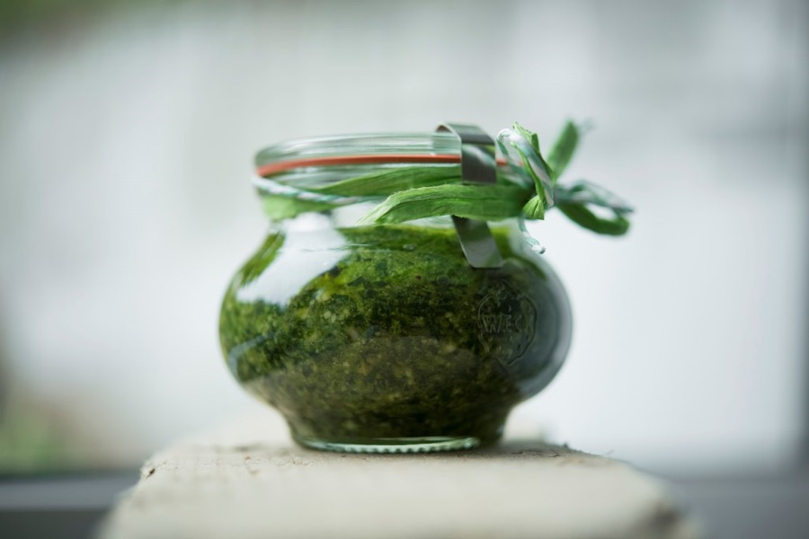 Wild garlic pesto